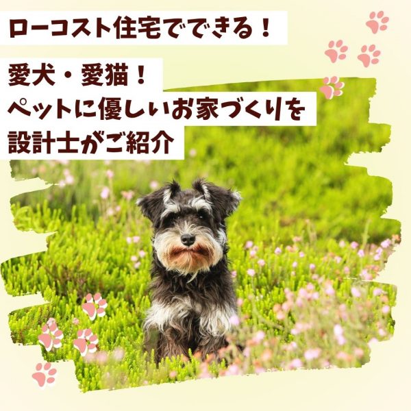 甲府市のローコスト住宅でできる！愛犬・愛猫！ペットに優しいお家づくりを設計士がご紹介