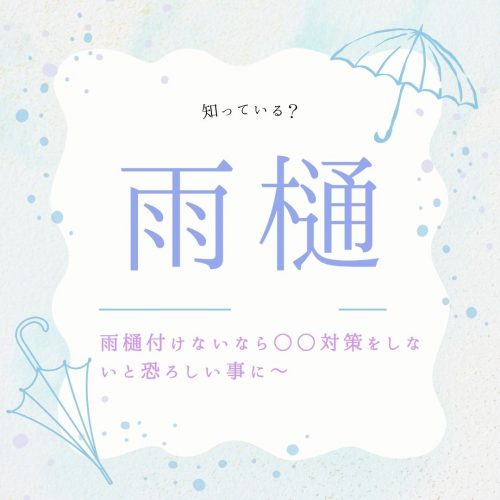知っている？雨樋のこと～雨樋付けないなら○○対策をしないと恐ろしい事に～